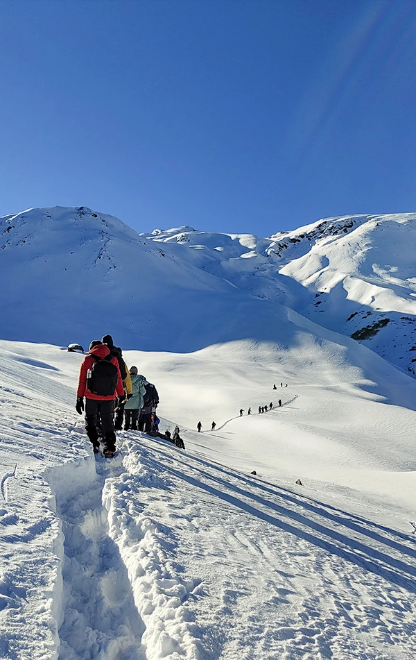 kuari pass trek himalayan expeditions 2