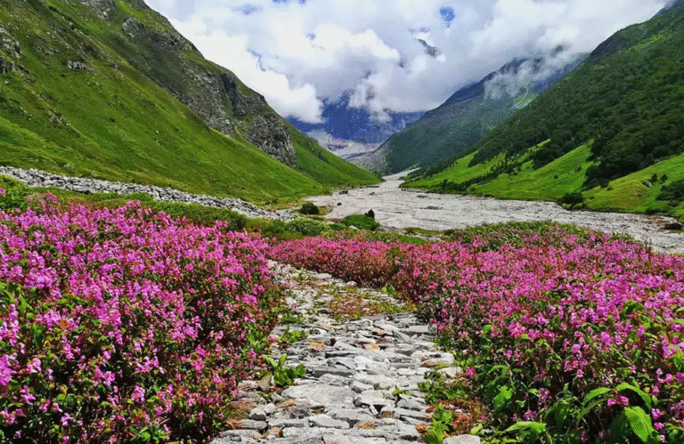 valley-of-flowers-himalayan-expeditions-1